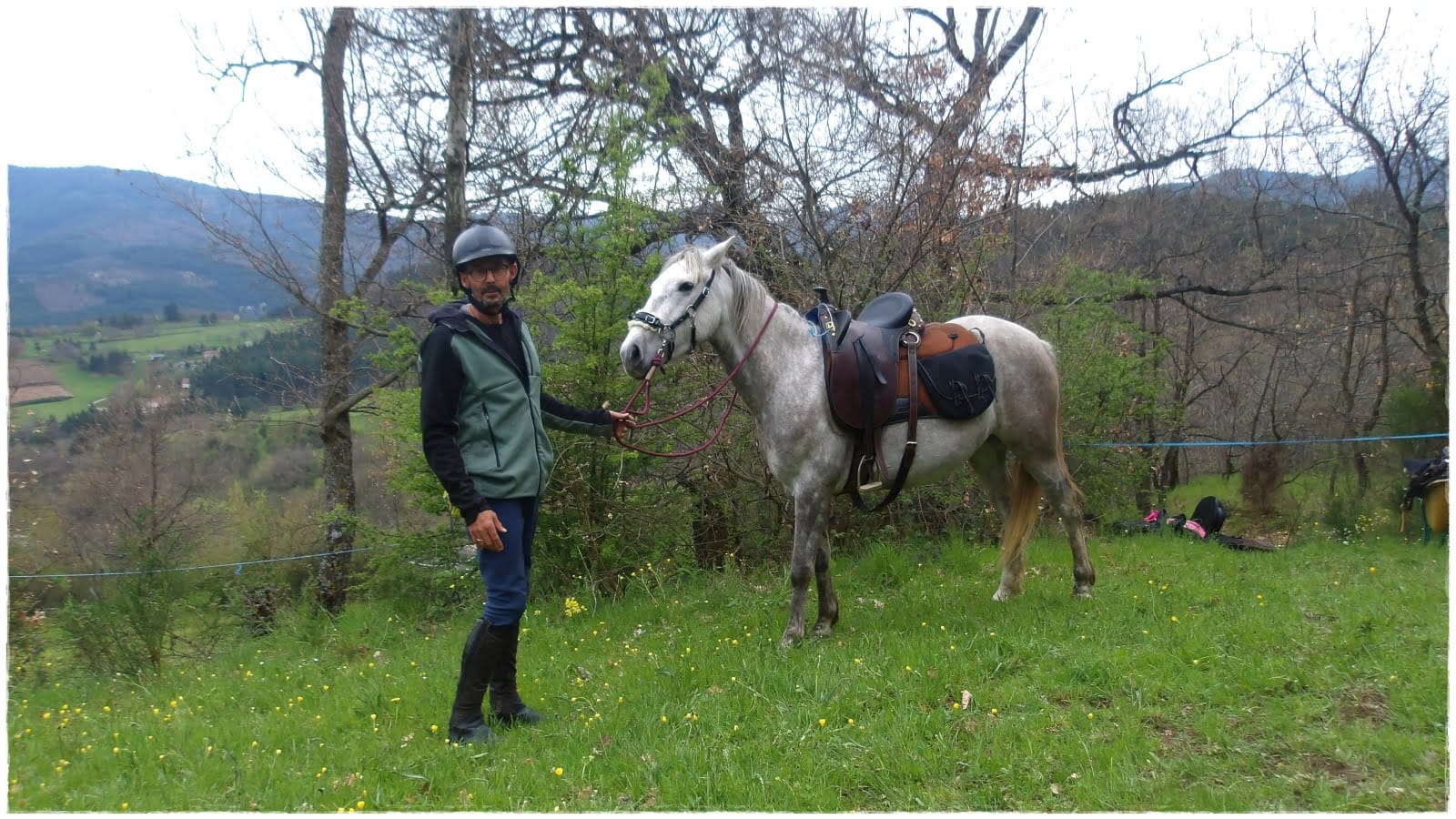 Cheval rouan a vendre sale