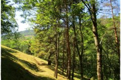 Randonnée pédestre vers Le Monestier (Ardèche) juillet 2022