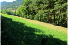 Randonnée pédestre vers Le Monestier (Ardèche) juillet 2022